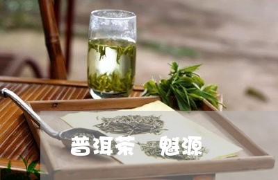 普洱茶 魁源/2023042687567